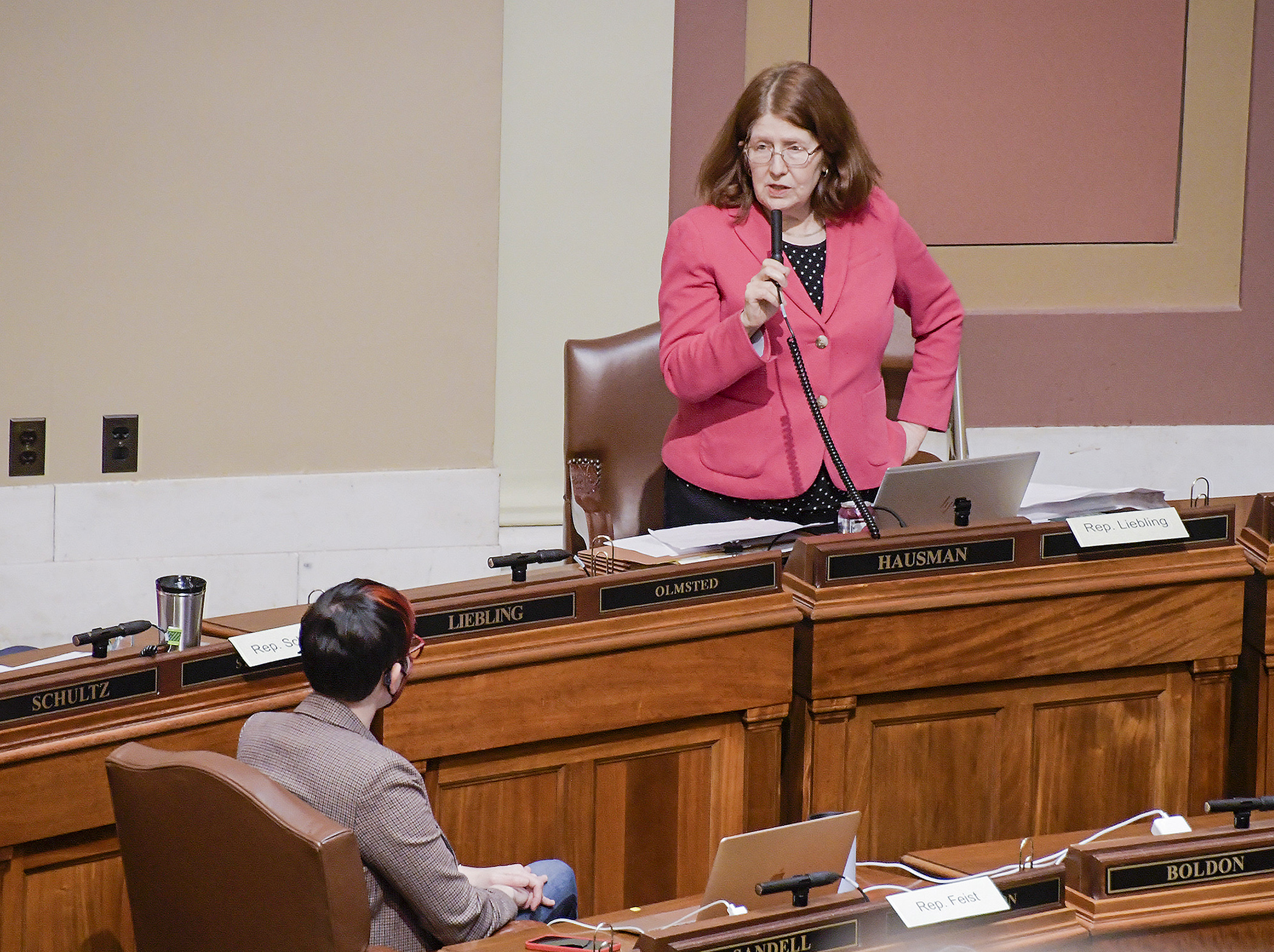 Rep. Tina Liebling, chair of the House Health Finance and Policy Committee, explains the conference committee report for HF2128 on the House Floor May 17. Photo by Andrew VonBank

